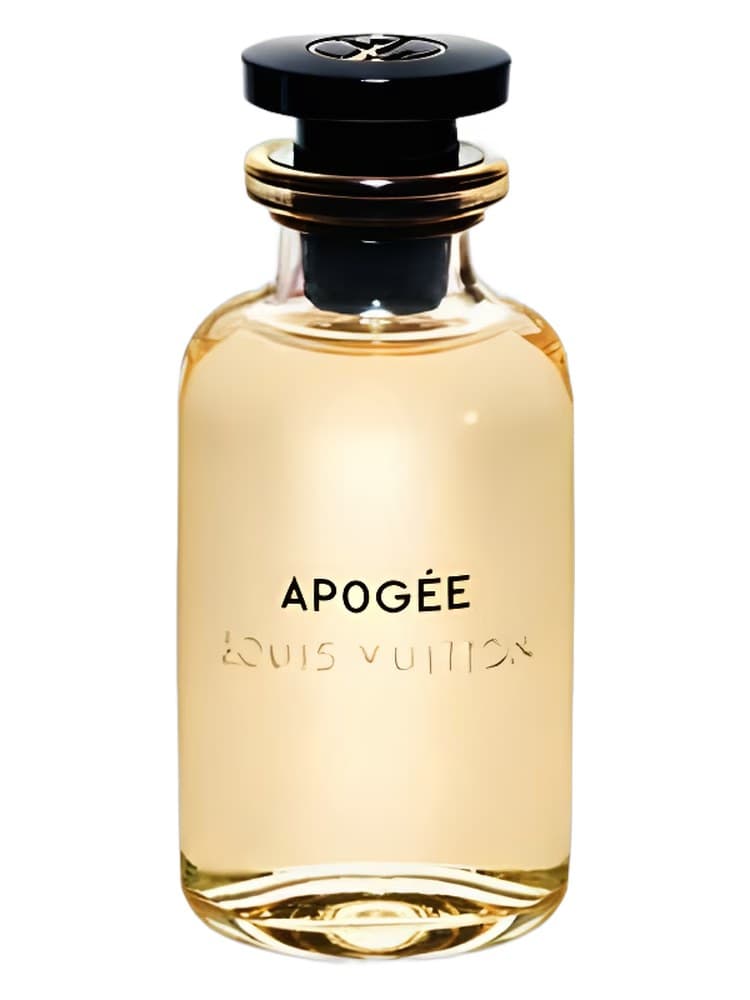 Louis Vuitton Apogée